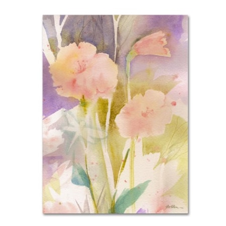Sheila Golden 'Pink Dragonfly Shadows' Canvas Art,35x47